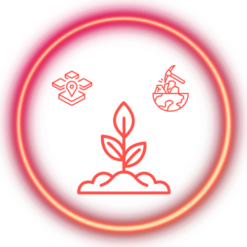 5 Equity and ETF Scripts Long Term Growth Portfolio | Theme - Soil & Land (Forest - Agricultural Products - Food Products - Realty - Metals & Mining) | Rebalancing Monthly | Equity ETFs Composition is 20% | 12 Months Subscription Plan