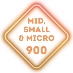 50 Equity Scripts Long Term Growth Portfolio | MarketCap - Mid Cap 150 Small Cap 250 & Micro Cap 500 | Rebalancing Monthly | ETFs Composition is 0% | 12 Months Subscription Plan