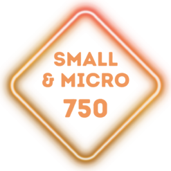 50 Equity Scripts Long Term Growth Portfolio | MarketCap - Small Cap 250 & Micro Cap 500 | Rebalancing Monthly | ETFs Composition is 0% | 12 Months Subscription Plan